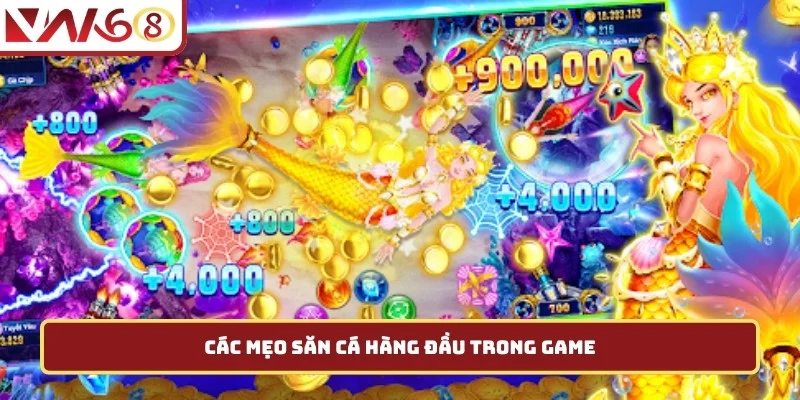 Các mẹo săn cá hàng đầu trong game