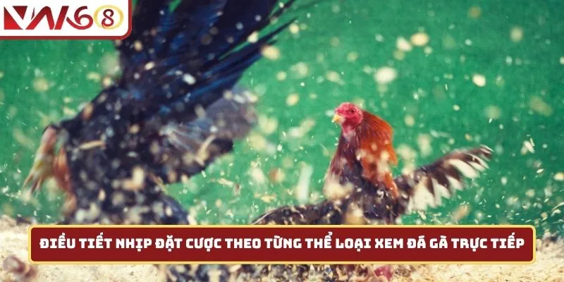 Điều tiết nhịp đặt cược theo từng thể loại xem đá gà trực tiếp 