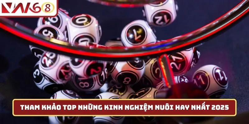 Tham khảo top những kinh nghiệm nuôi hay nhất 2025