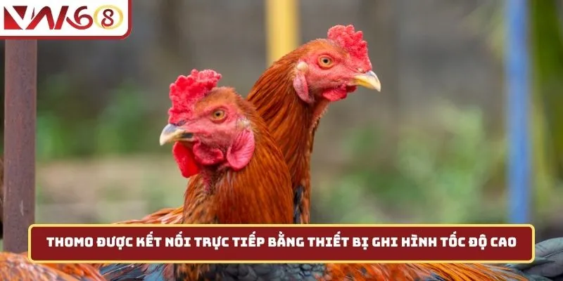 Thomo được kết nối trực tiếp bằng thiết bị ghi hình tốc độ cao